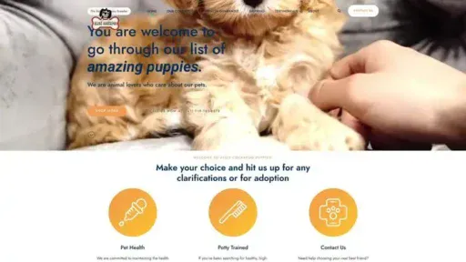 Screenshot of