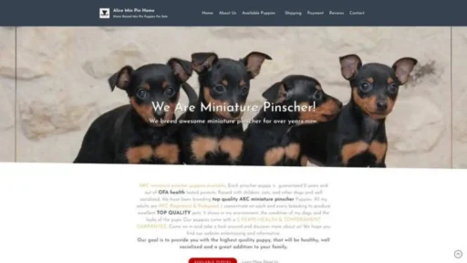 Screenshot of||