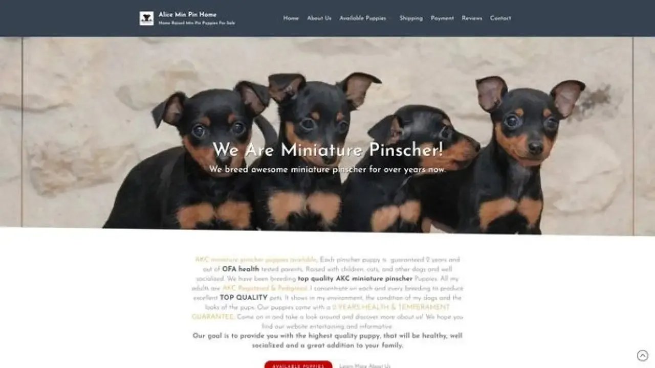 Screenshot of||