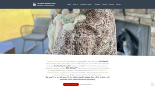 Screenshot of||