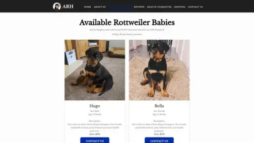 Screenshot of