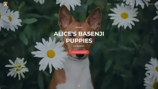 Screenshot of