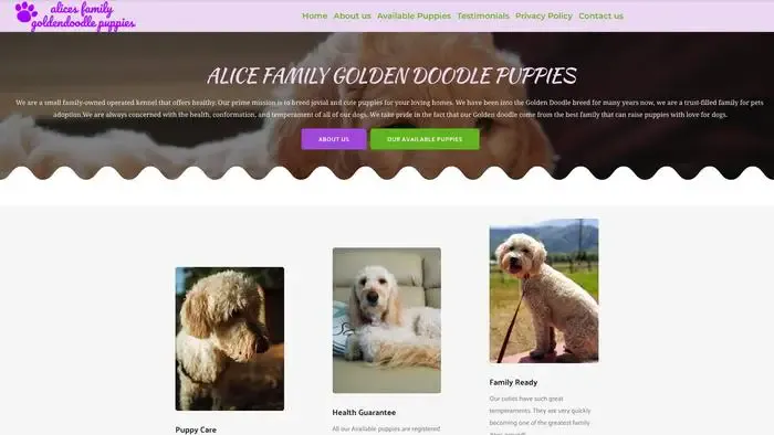 Screenshot of