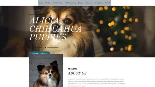 Screenshot of