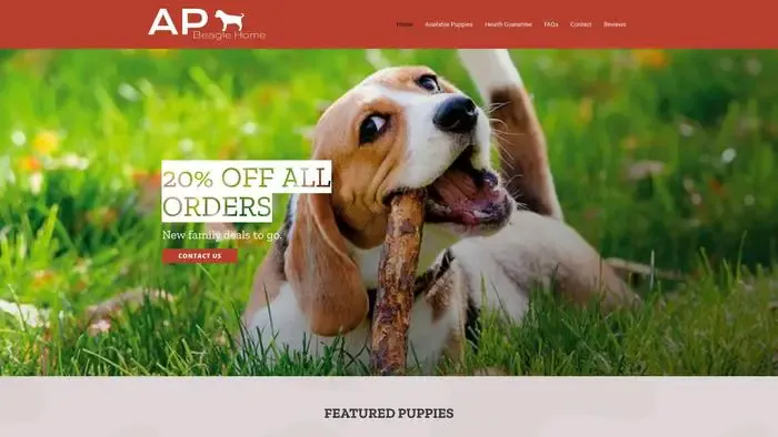 Screenshot of