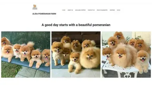 Screenshot of