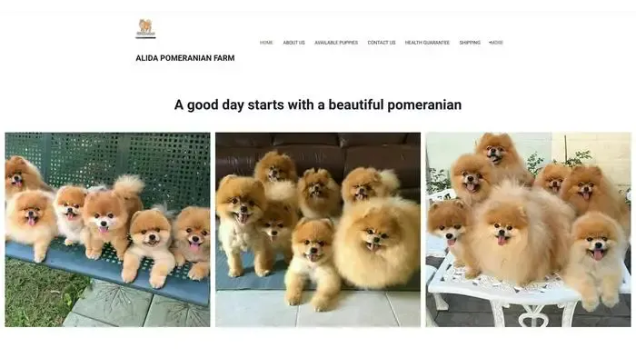 Screenshot of