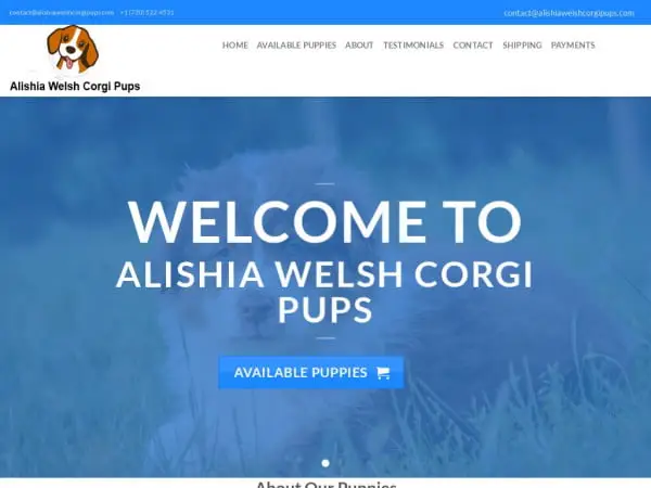 Screenshot of