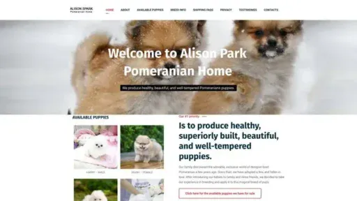 Screenshot of