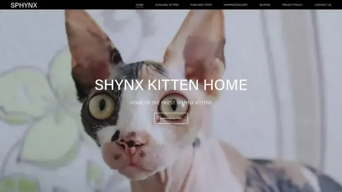 Screenshot of
