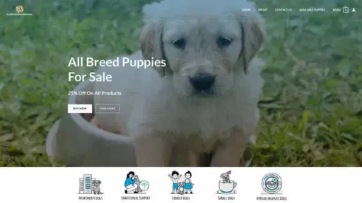 Screenshot of