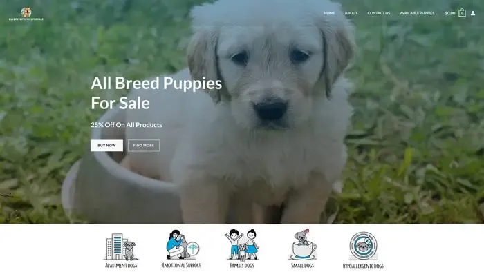Screenshot of