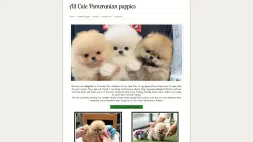 Screenshot of