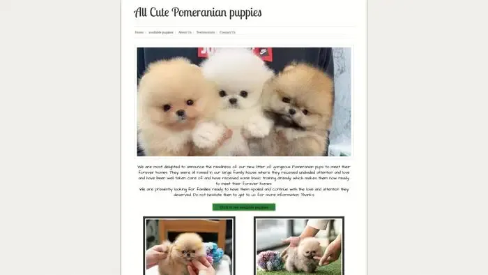 Screenshot of