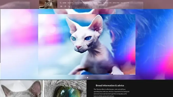 Screenshot of