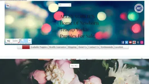 Screenshot of