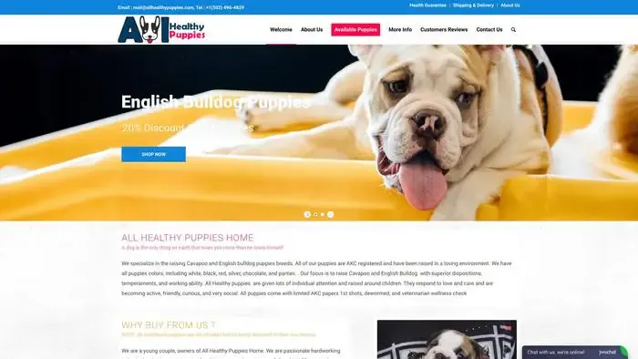 Screenshot of