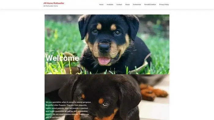 Screenshot of