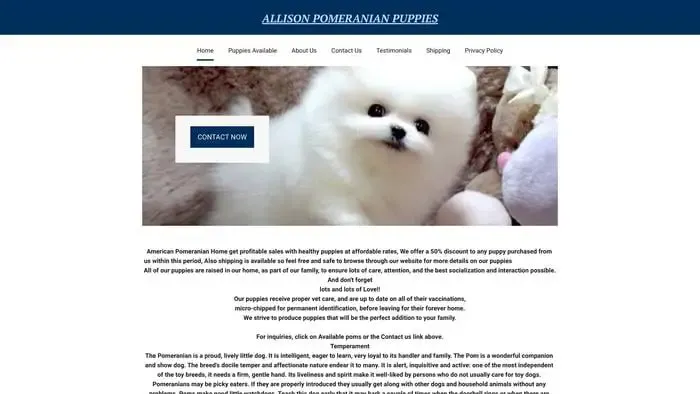 Screenshot of