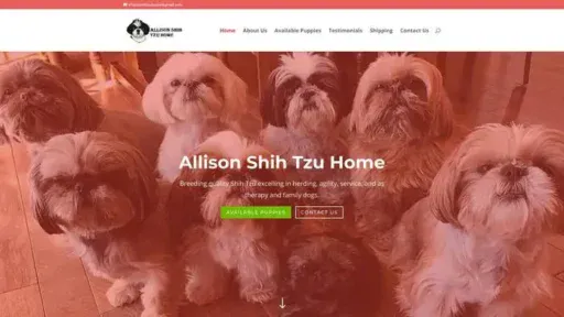 Screenshot of