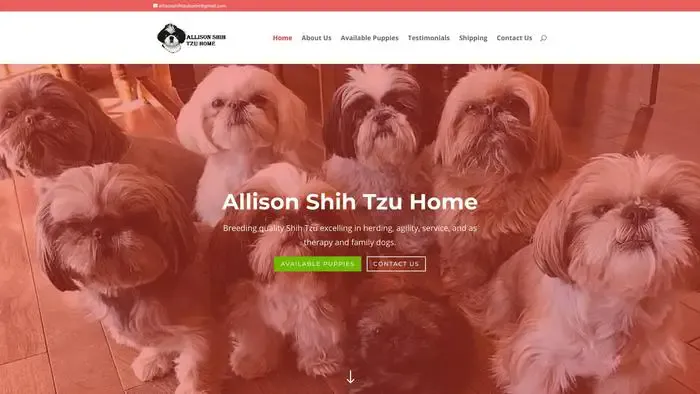 Screenshot of