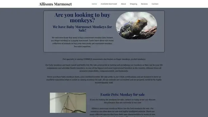 Screenshot of