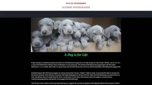 Screenshot of