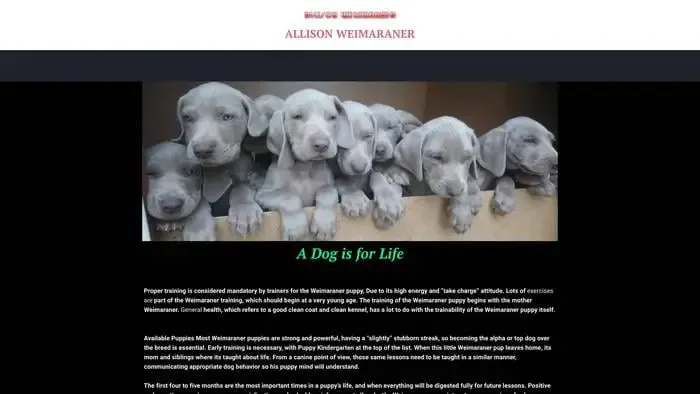 Screenshot of