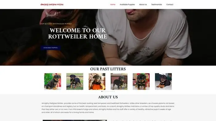 Screenshot of