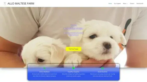 Screenshot of