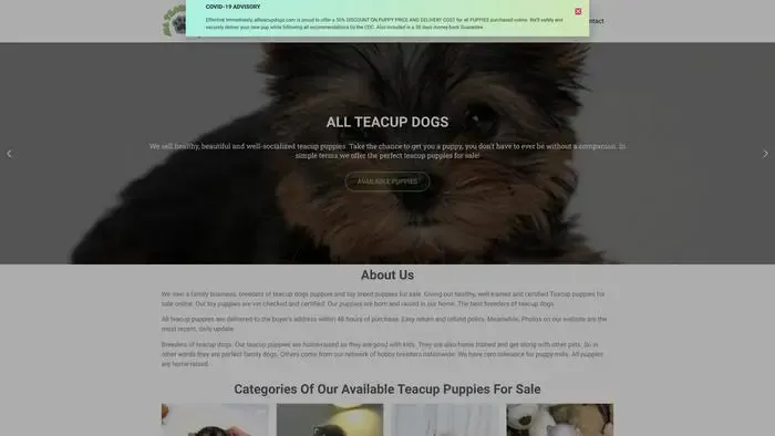 Screenshot of