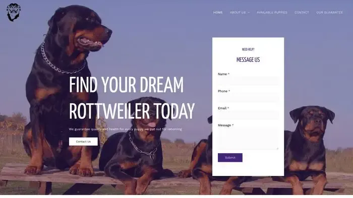 Screenshot of