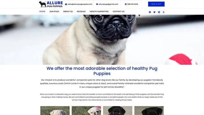 Screenshot of
