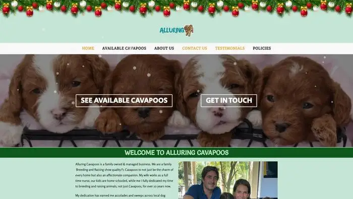 Screenshot of