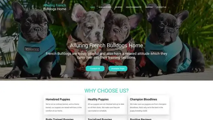 Screenshot of