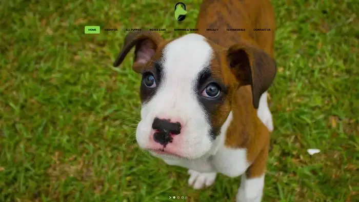 Screenshot of