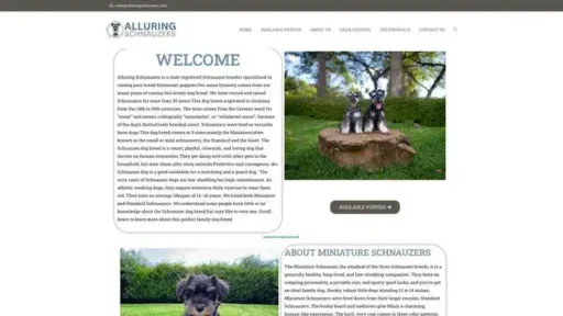 Screenshot of
