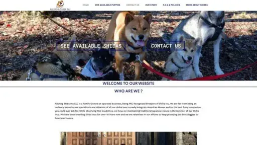 Screenshot of
