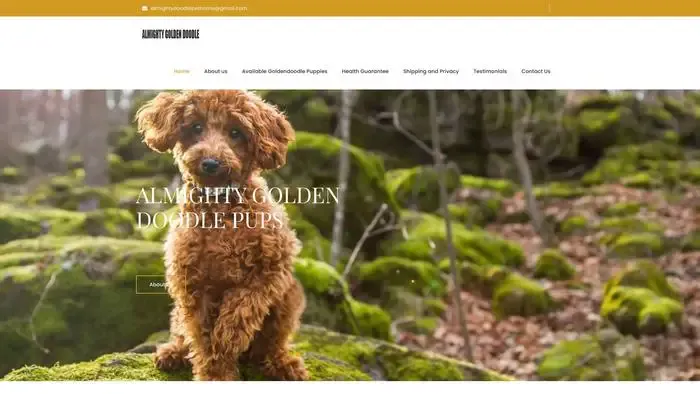 Screenshot of