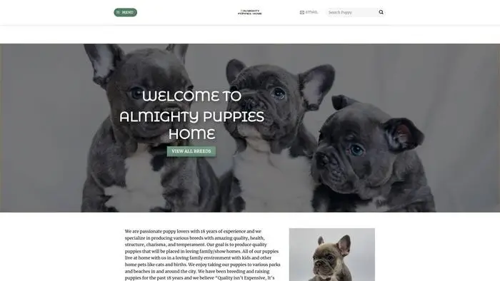 Screenshot of