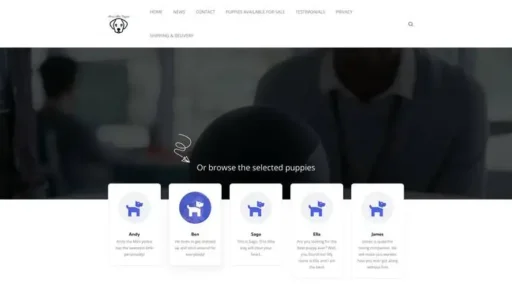 Screenshot of