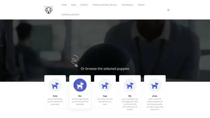 Screenshot of