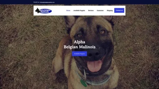 Screenshot of