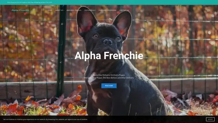 Screenshot of