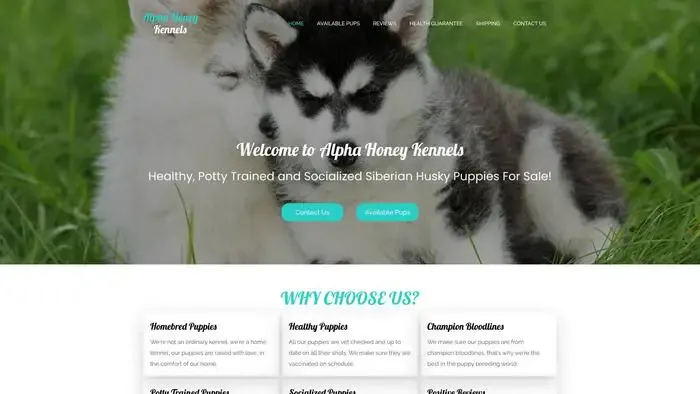 Screenshot of