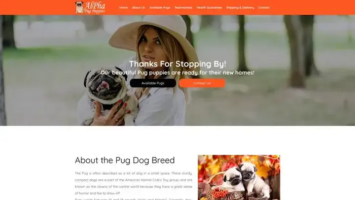 Screenshot of