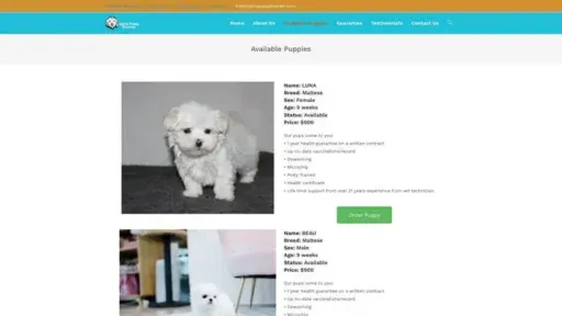 Screenshot of
