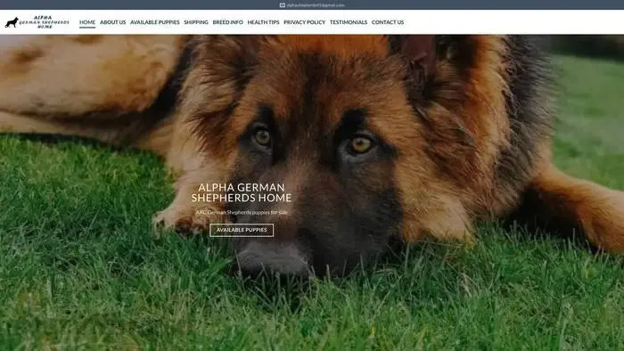 Screenshot of