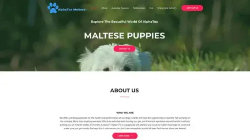Screenshot of