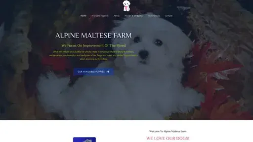 Screenshot of